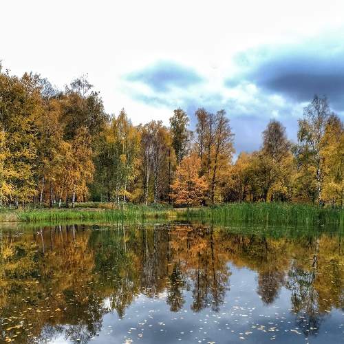 Photo #5910985