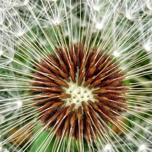 Photo #5910998