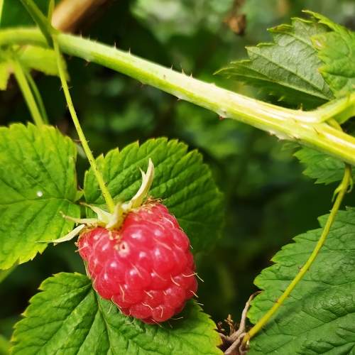 Photo #5911310