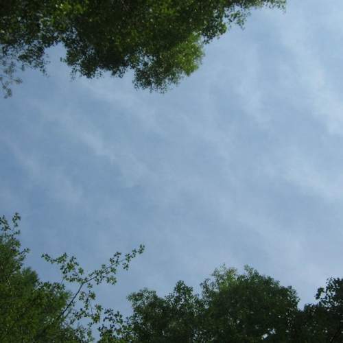 Photo #5911530