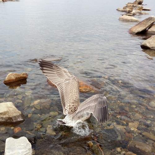 Photo #5911537
