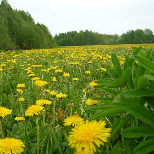 Photo #5911635
