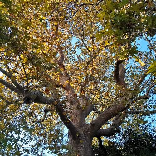 Photo #5911973