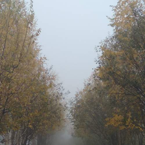 Photo #5912053