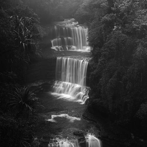 Photo #5912099