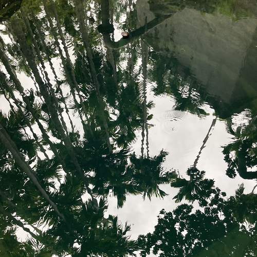 Photo #5912130