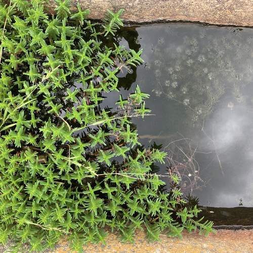 Photo #5912131
