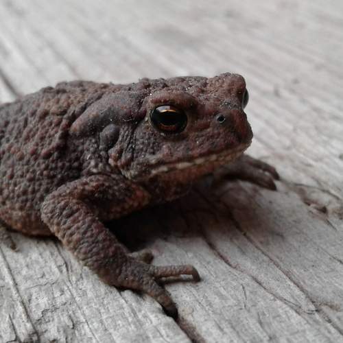 Photo #5912186