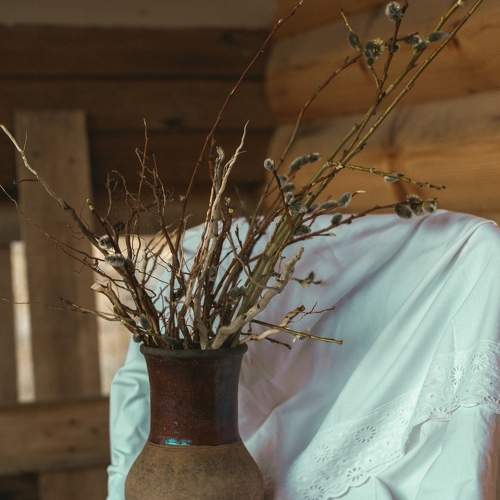 Фотография #5912757