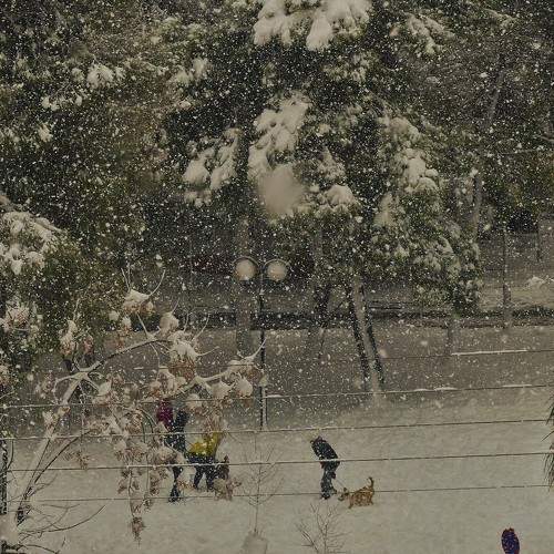 Photo #5912967