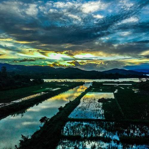 Photo #5912970