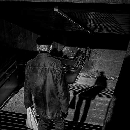 Photo #5913316