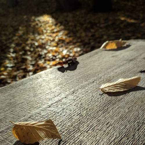 Photo #5913331