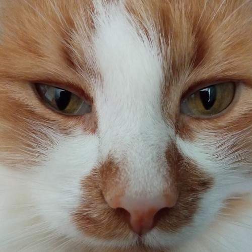 Photo #5913711