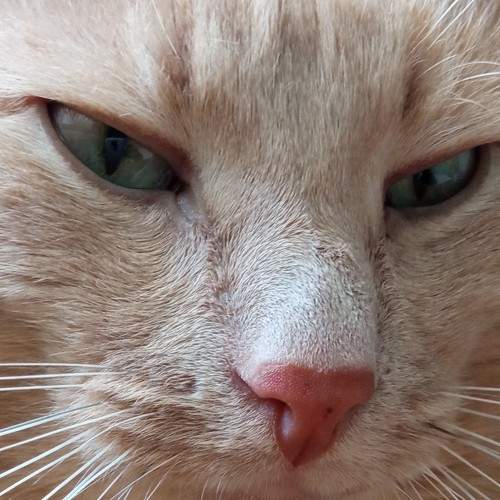 Photo #5913740