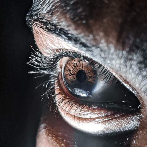 Photo #5913787