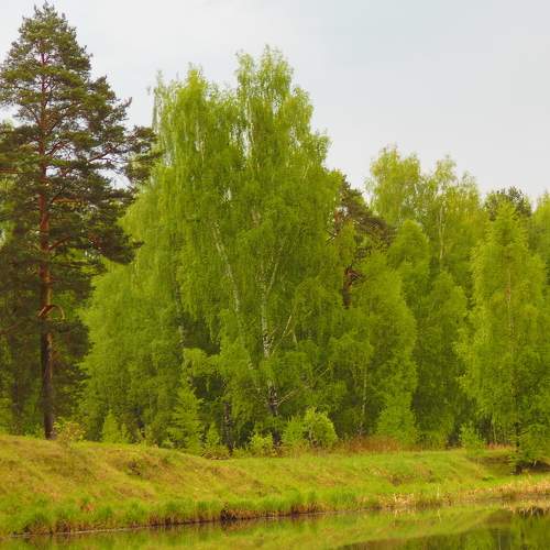 Photo #5913810