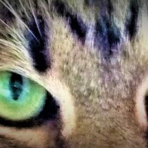 Photo #5913999
