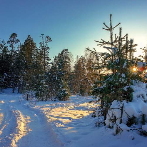 Photo #5914317