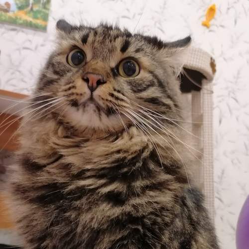 Photo #5914486