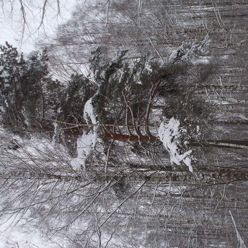 Photo #5914580