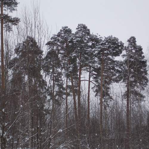Photo #5914645