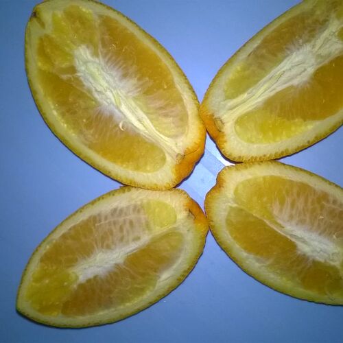 Photo #5914663