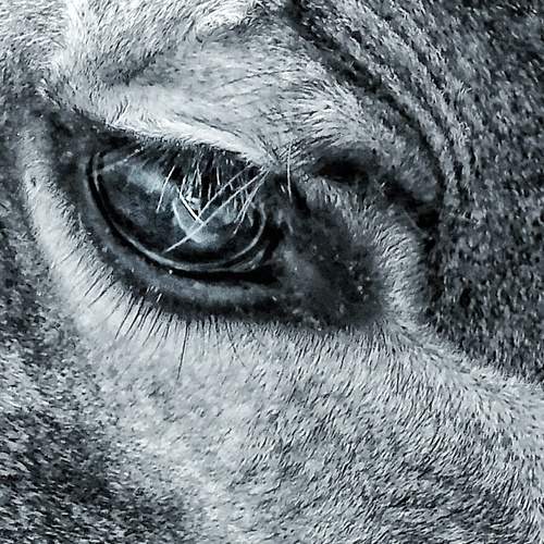 Photo #5914698