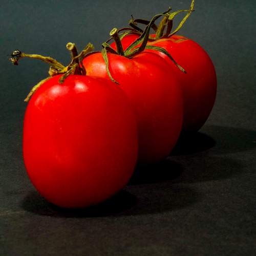 Photo #5914888