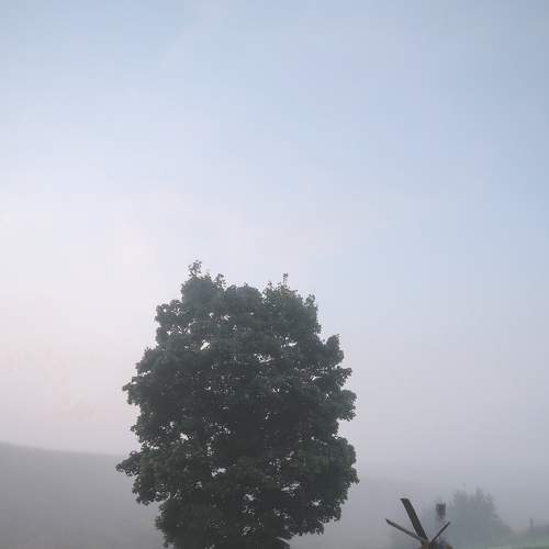 Photo #5914896