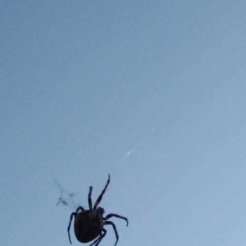 Photo #5914961