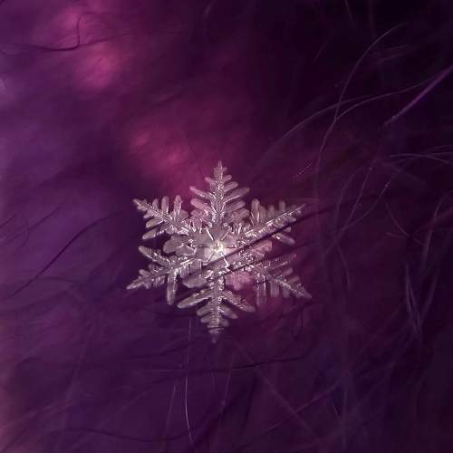 Первая снежинка