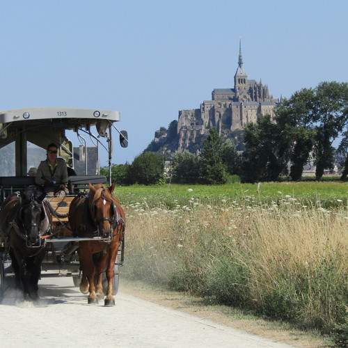 Photo #5915182