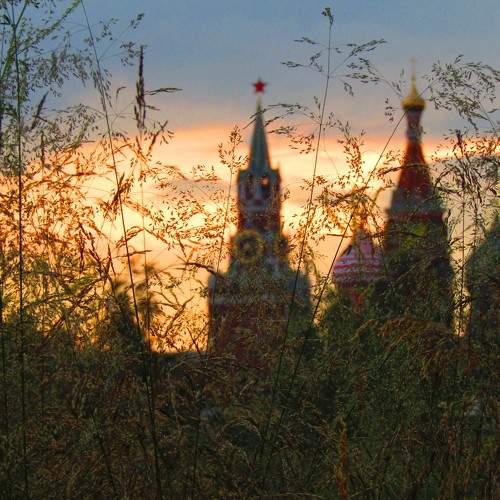 Photo #5915194