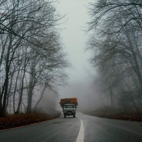 Photo #5915222
