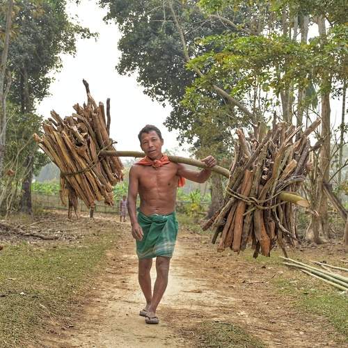 Bodo people