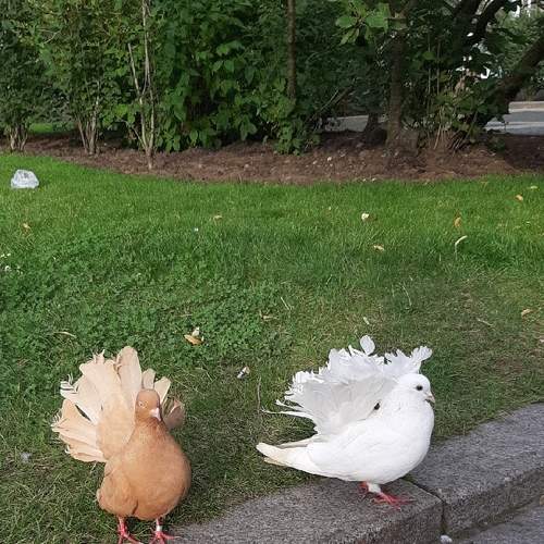 Photo #5915336