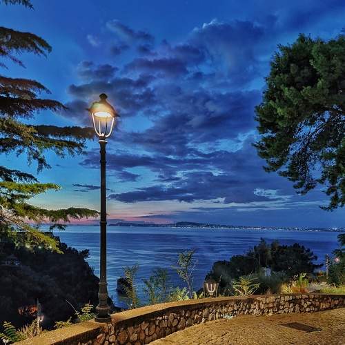 Photo #5915457