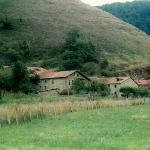 The Green Meadow