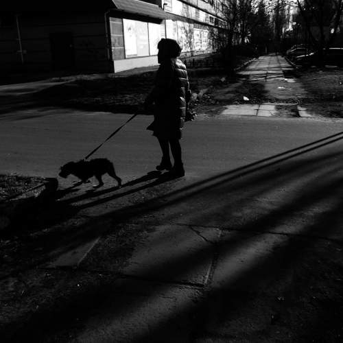 Photo #5915801