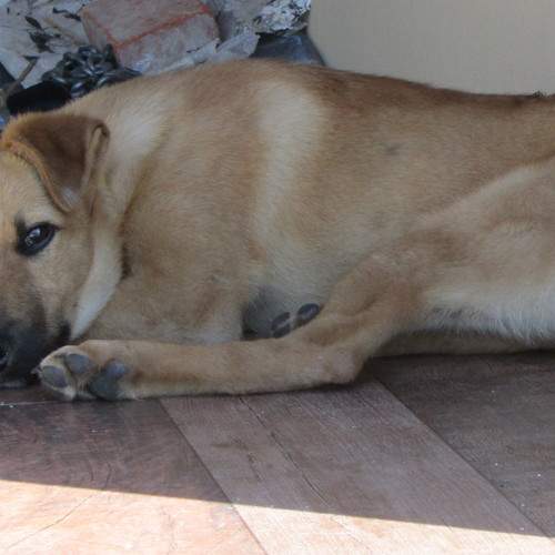 Photo #5915937