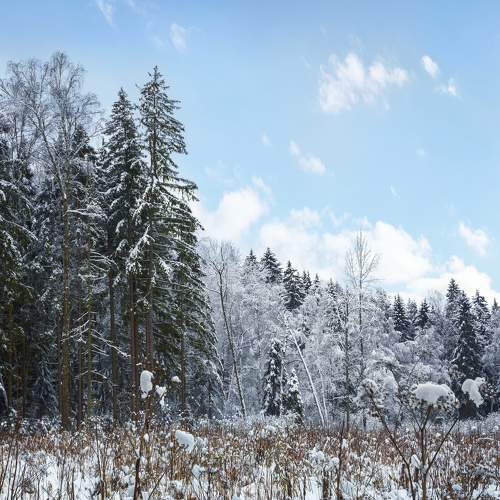 Photo #5915953