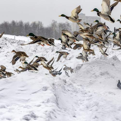 Photo #5916015