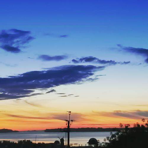 Photo #5916155