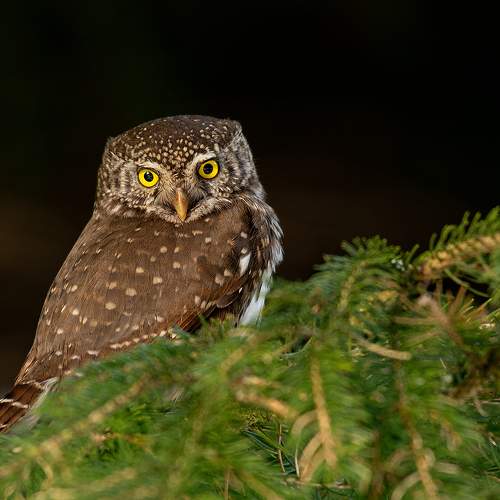 Photo #5916326