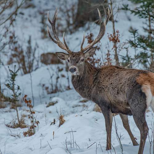 Photo #5916334