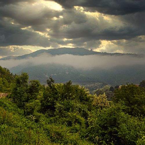 Photo #5916447