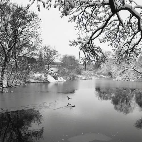 Photo #5916506
