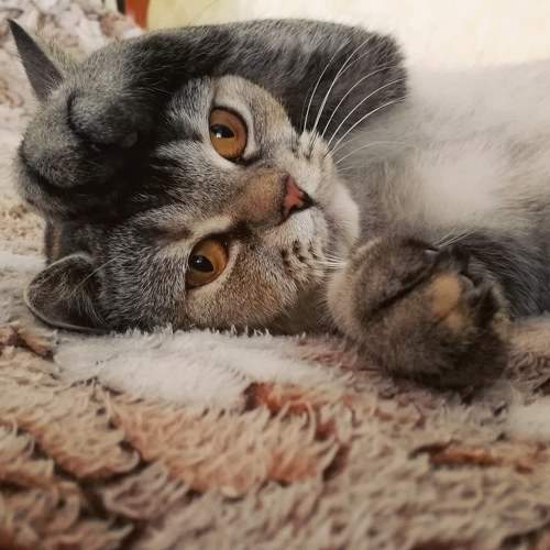 Photo #5917111
