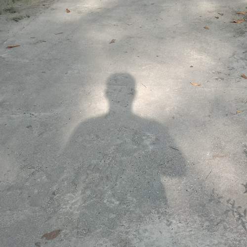 Photo #5917212
